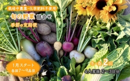 旬の野菜詰め合わせ 季節の定期便 1月スタート 栽培期間中農薬・化学肥料不使用 2回お届け 7～9品目