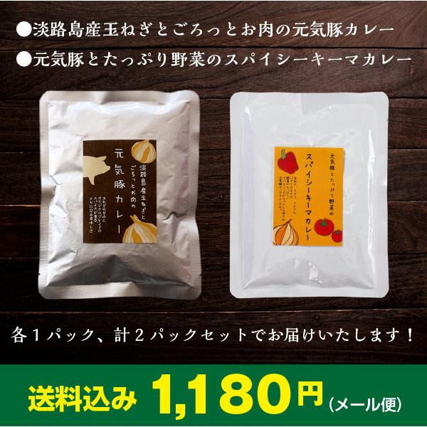 レトルト  常温保存　送料込み　「元気豚カレー2種セット　元気豚カレー200ｇ×1　＋　スパイシーキーマカレー150ｇ×1」