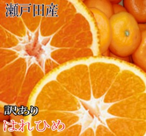 はれひめみかん 訳あり 10kg 広島 瀬戸田産 みかん訳あり 瀬戸田みかん 家庭用みかん 訳ありみかん 送料無料みかん みかん送料無料