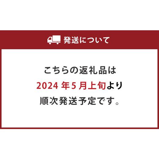 ふるさと納税 熊本県 熊本市  肥後グリーン メロン 2玉入 3L以上 (1玉あたり1.6kg以上)