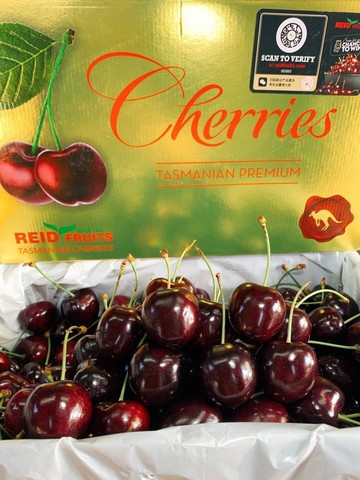 【帕查嬤嬤】??全球最強櫻桃 澳洲空運頂級塔斯馬尼亞櫻桃澳洲原裝2公斤精裝盒｜澳洲櫻桃禮盒