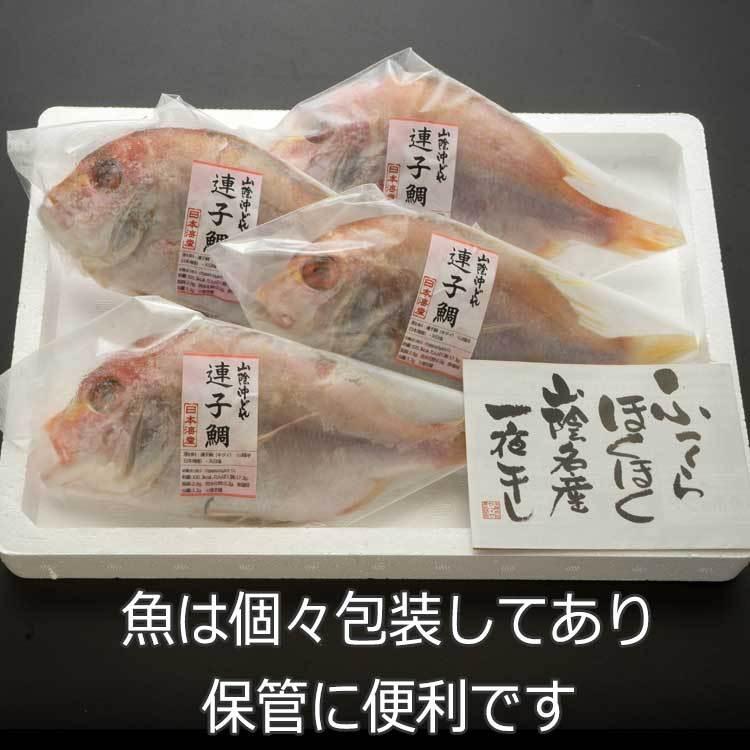 送料無料  4尾セット 連子鯛 丸干し （れんこだい）  感謝の干物セット 干物 ひもの 詰め合わせ  お取り寄せグルメ