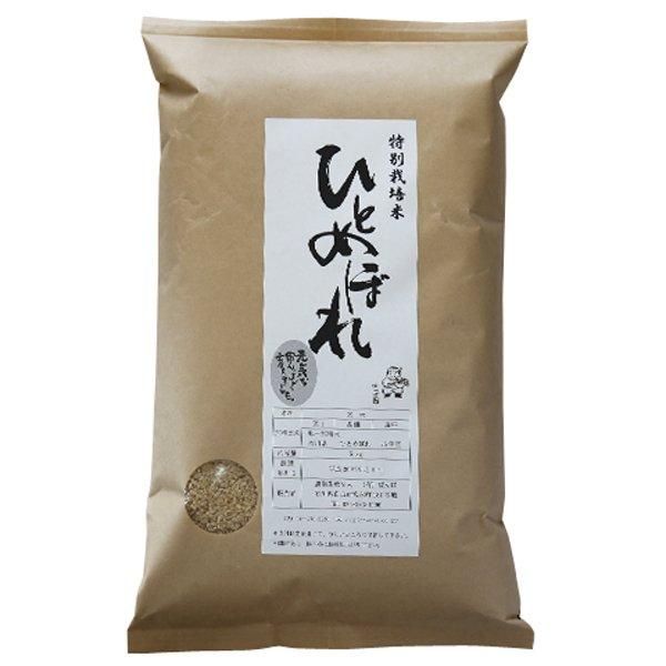 新米 令和5年  2023年産 石川県産 特別栽培米 ひとめぼれ 玄米5kg 一等米 産地直送 ばんば