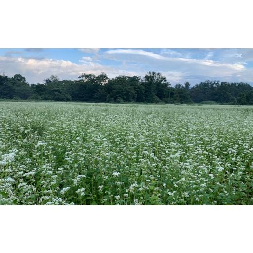 ふるさと納税 山形県 米沢市 《 自然栽培 》 十割乾麺そば 5袋 計 1kg 1袋 200g 無肥料・無農薬栽培 山形ちば吉 そば 蕎麦 [057-001]