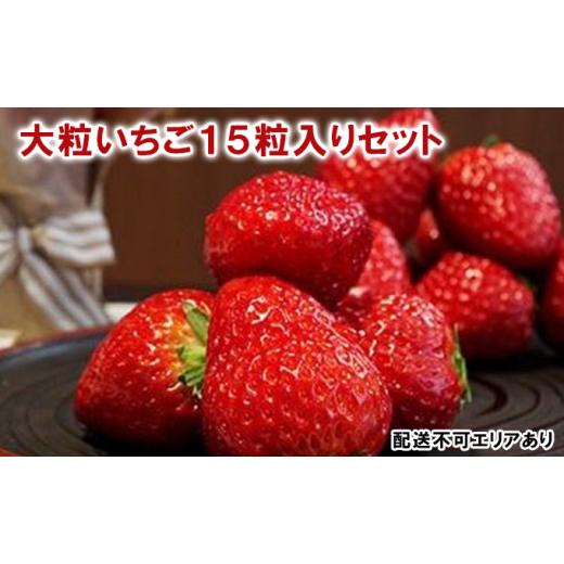 ふるさと納税 兵庫県 小野市 大粒いちご15粒入りセット