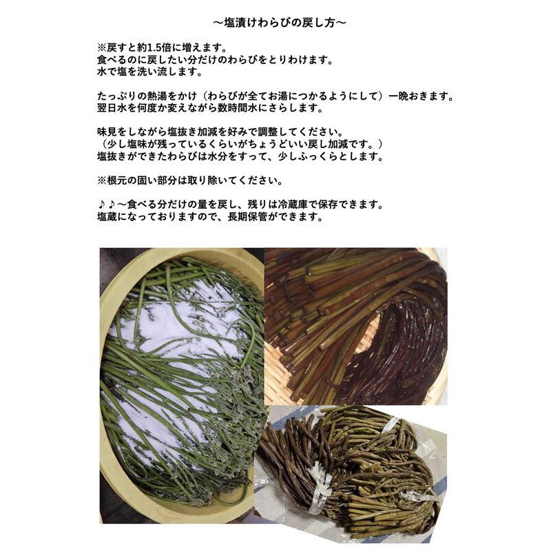 天然山菜 わらびの塩漬け ２Kｇ 自然の恵み　限定予約販売　山形県飯豊町産 送料無料