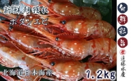 5-019-004　ボタンエビ 1.2kg（300g×4）