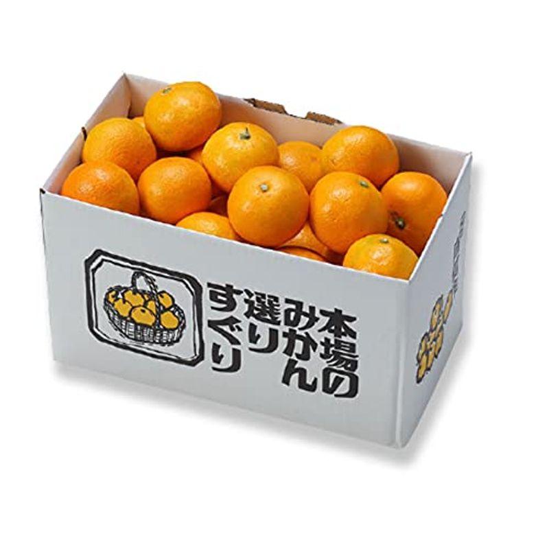 お歳暮 みかん 温州みかん 産地厳選 秀品 2L?2Sサイズ 2.5kg 蜜柑 ミカン ギフト お取り寄せ