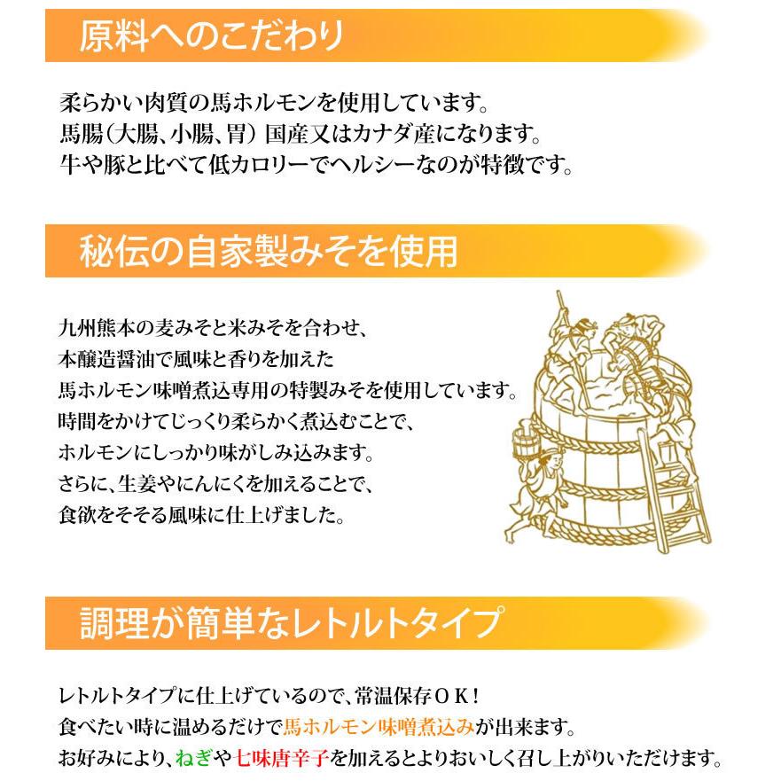 馬ホルモン 味噌煮込み 国産 馬肉 熊本 送料無料 150g×2袋 お取り寄せ おつまみ 馬もつ 大腸 小腸