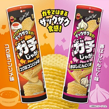 【江戶物語】 Bourbon 北日本 Gachi Jaga 罐裝洋芋片 98g 雞汁/大蒜風味 網狀洋芋片 網格馬鈴薯片