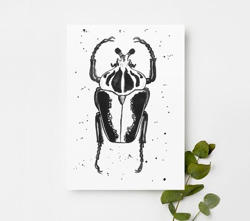 明信片-甲殼蟲| 水彩卡片 手繪明信片 極簡主義風格