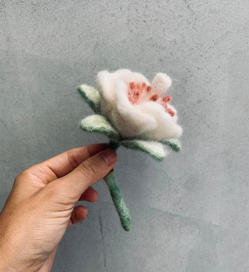 猢猻木花羊毛氈