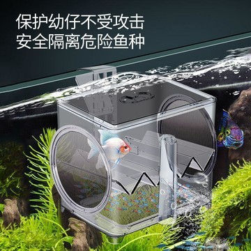 🛒下單立享優惠SQG魚缸隔離盒孵化盒亞克力孔雀魚繁殖盒熱帶魚小魚幼魚苗產卵房