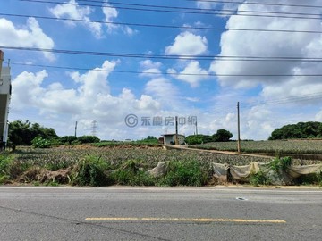 鳥松~大樹中華路大面寬農地｜高雄市大樹區坪頂段