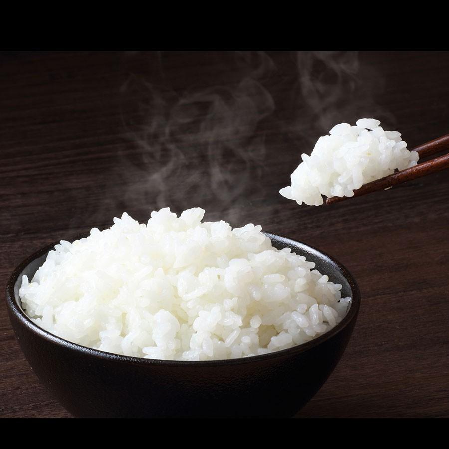 米 お米 20kg コシヒカリ 愛知県産 5kg×4 白米 令和5年産