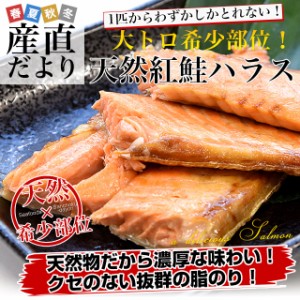 天然紅鮭ハラス(希少な腹身の部位) アメリカ産 500g入り 送料無料 紅鮭 鮭 ベニザケ シャケ サケ ※クール冷凍便