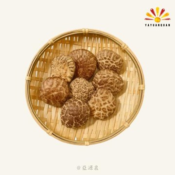 【亞源泉】椴木花菇 量批發 1公斤