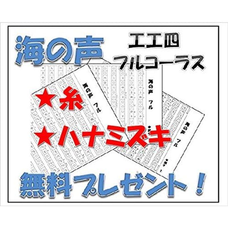 ケース 三線 セミハードケース フルボディーガードタイプ コード弾き用