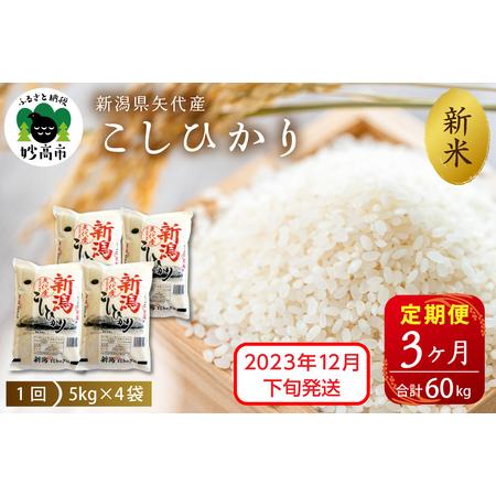 ふるさと納税 新潟県矢代産コシヒカリ20kg×3回（計60kg）※沖縄県・離島配送不可 新潟県妙高市