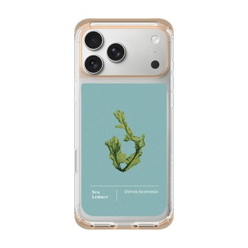 iPhone 17 Pro Max ClearX 暖透橘 - The Seaweed Studio - 德文郡・美扇藻研習