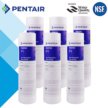 怡康 PENTAIR 10吋公規1微米PP棉濾芯(6支組)