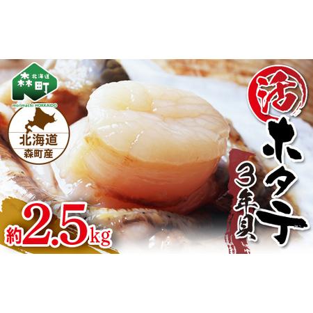 ふるさと納税 北海道森町産 活ホタテ3年貝 2.5kg（約10-15枚）（2024年1月以降発送）＜道産ネットミツハシ＞ 森町 ほたて 帆立 ホタテ.. 北海道森町