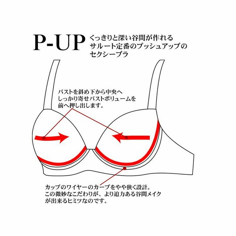 ワコール Wacoal サルート P-UP [BTJ400](Gカップ Hカップ Iカップ