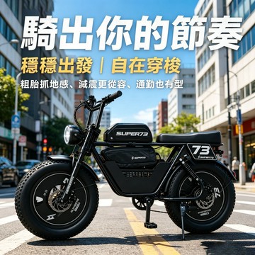 🔸臺灣熱銷🔸電動自行車 電動登山車 寬胎電動車 日常代步車 都會通勤 無需駕照 高顏值 成人代步車 台灣保固 免牌照
