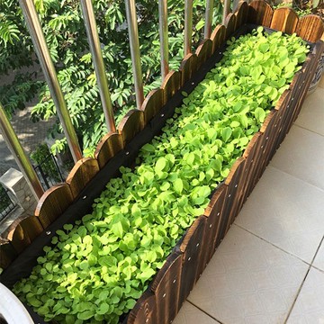 室外大號碳化防腐木花箱陽臺種菜專用長方形花槽 m7281