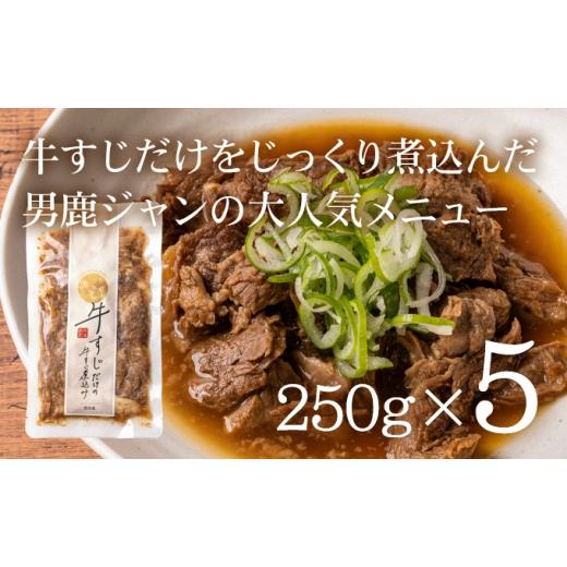 ふるさと納税 秋田県 男鹿市 牛すじだけの牛すじ煮込み 250g×5袋 箱入