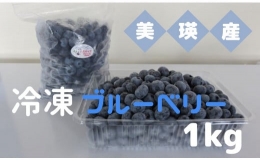 びえいハスカップファーム　美瑛産冷凍ブルーベリー1ｋｇ[015-77]