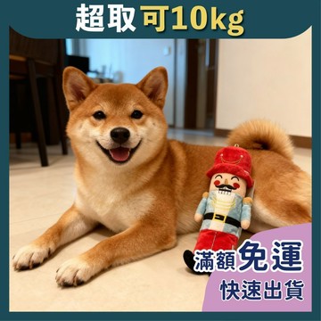 免睏【大頭兵 狗玩具】寵物玩具 玩具 可愛 造型 布偶 絨毛