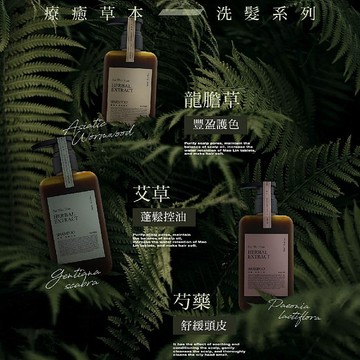 KAFEN 艾草蓬鬆控油／龍膽草豐盈護色／芍藥舒緩去屑 洗髮精(300ml) 款式可選【三哥嚴選】DS012975
