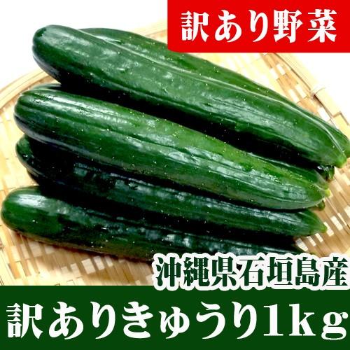 訳あり きゅうり １ｋｇ(8〜12本) 　石垣島産