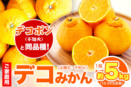 デコポン 不知火 )と同品種！デコみかん 熊本県産 (津奈木町産含む) 訳あり 約5kg前後(12-24玉前後) 柑橘《2024年2月中旬-4月末頃より順次出荷》 みかん フルーツ 不知火 先行予約 訳あり 訳アリ ご家庭用 でこみかん 果物 予約受付