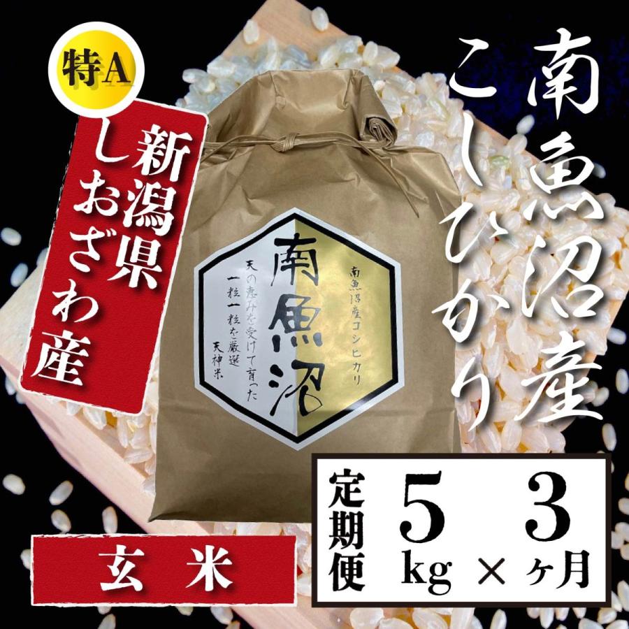  米  5kg 《定期便 3ヶ月》 新潟 南魚沼 塩沢産 コシヒカリ 生産者限定米 令和5年産