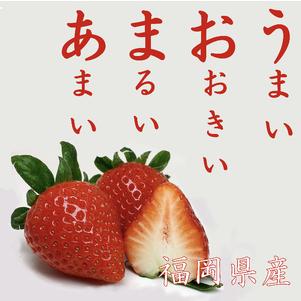 ふるさと納税 超大玉 あまおう イチゴ グランデ 2パック入り 3玉〜6玉 いちご 苺 .. 福岡県桂川町