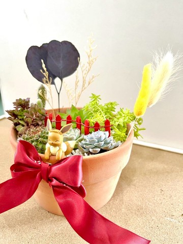 多肉組盆 寶可夢 伊布 微景觀 多肉盆栽 神奇寶貝 客製化送禮