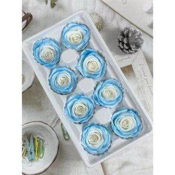 永生花珠光色diy情人節漸變玫瑰人魚姬抱抱桶禮盒花束禮物