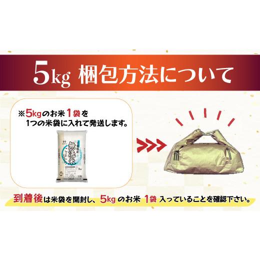 ふるさと納税 千葉県 大網白里市 令和5年産 2年連続特A評価!千葉県産コシヒカリ5kg無洗米（5kg×1袋） ふるさと納税 無洗米 5kg 千葉県産 大網白里市 …