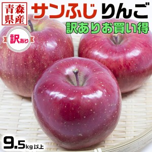 青森県産 サンふじ りんご 9.5kg以上 (約10キロ) 訳あり・ご家庭用｜家族・家庭向けお歳暮ギフト・お子さんのクリスマス