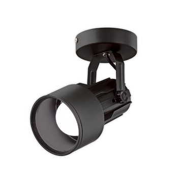 【必登堡】思銳吸頂燈 低調黑【B565461】