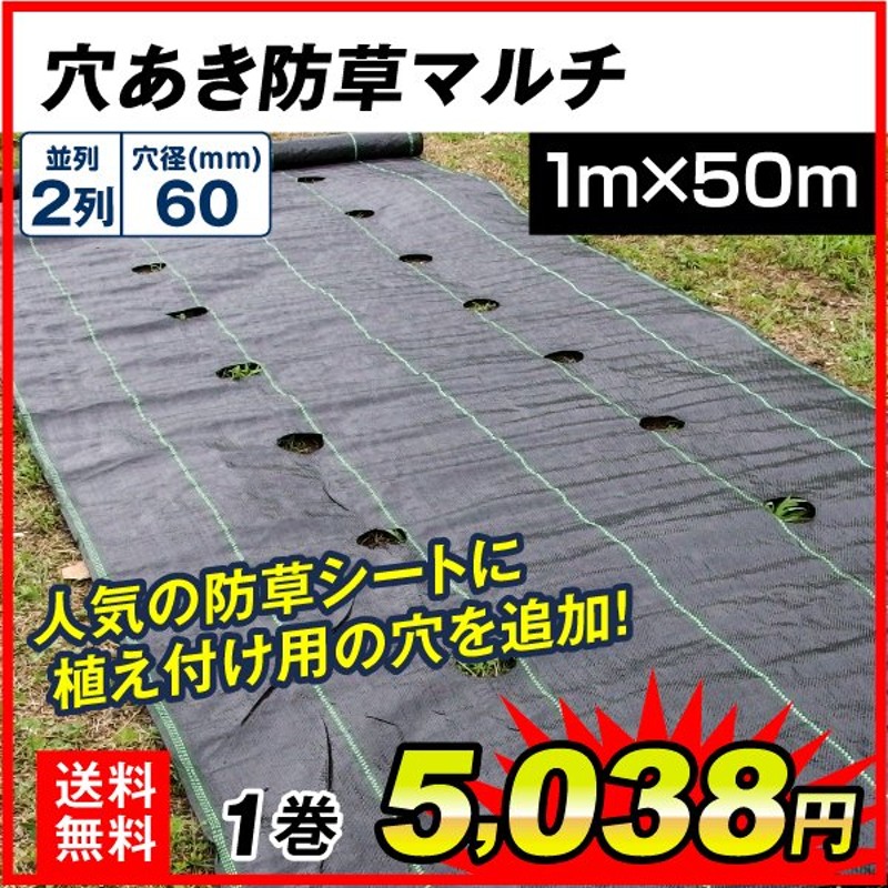 農業用マルチシート 穴あき防草マルチ 2列60 1×50m 1巻1組 農用 マルチング 防草シート 被覆資材 ポリプロピレン 防草 透水 地温上昇  国華園 通販 LINEポイント最大0.5%GET | LINEショッピング