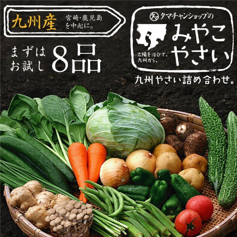 九州 野菜　8品ベストセレクション　花切り大根プレゼント付 九州野菜ミニミニお試しセット 九州で摂れた