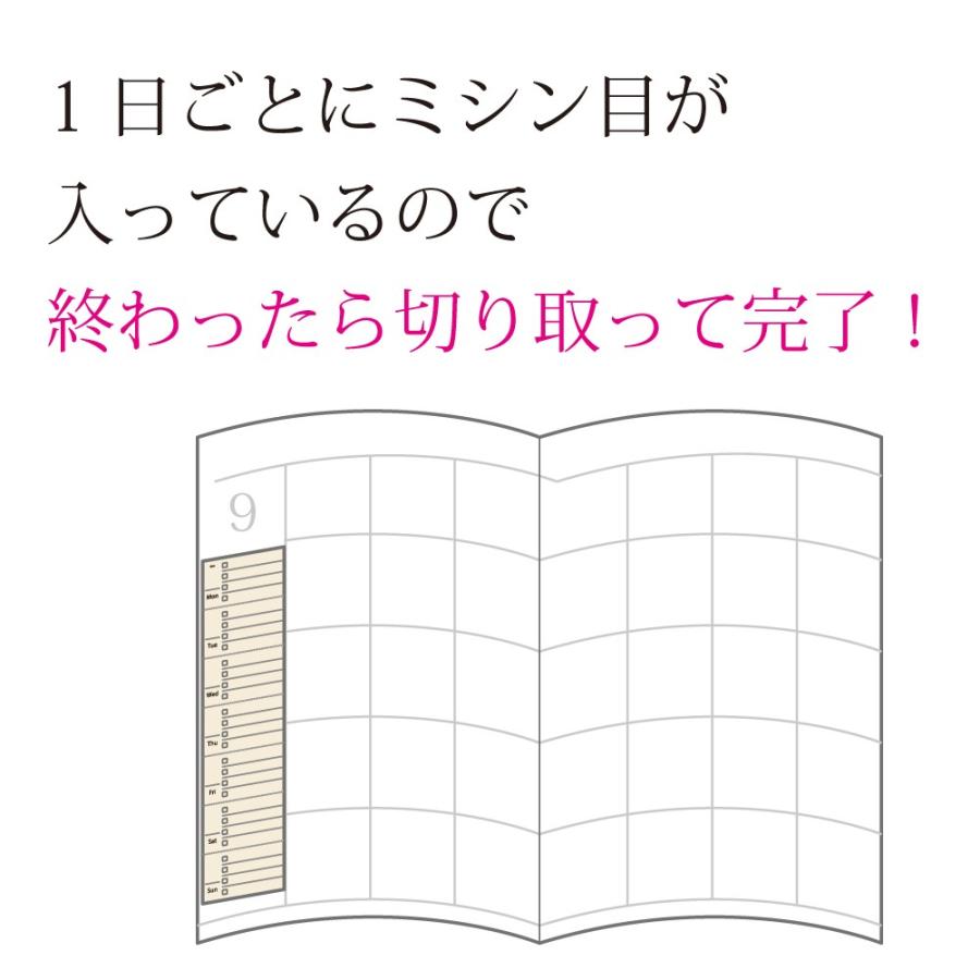 ふせん 週間ふせんメモ ライティア 付箋 文具 文房具 かわいい デザイン デザイン文具 ユニーク サンスター文具 メール便 送料無料 rm