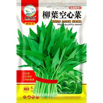 【臺灣現貨】正港柳葉空心菜種籽 原裝蔬菜種子 耐熱快收 家庭菜園必備 陽臺盆栽可種 空心菜籽 蕹菜種子 夏季葉菜