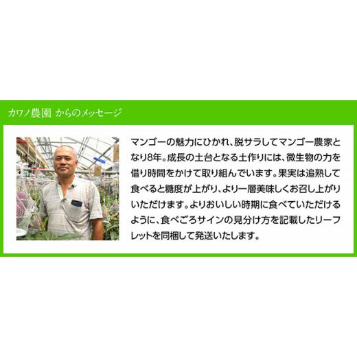 ふるさと納税 宮崎県 川南町 宮崎県産完熟マンゴー「果実の宝石」２Ｌ×３玉【 果物 フルーツ マンゴー 宮崎県産 みやざきマンゴー 先行予約 …