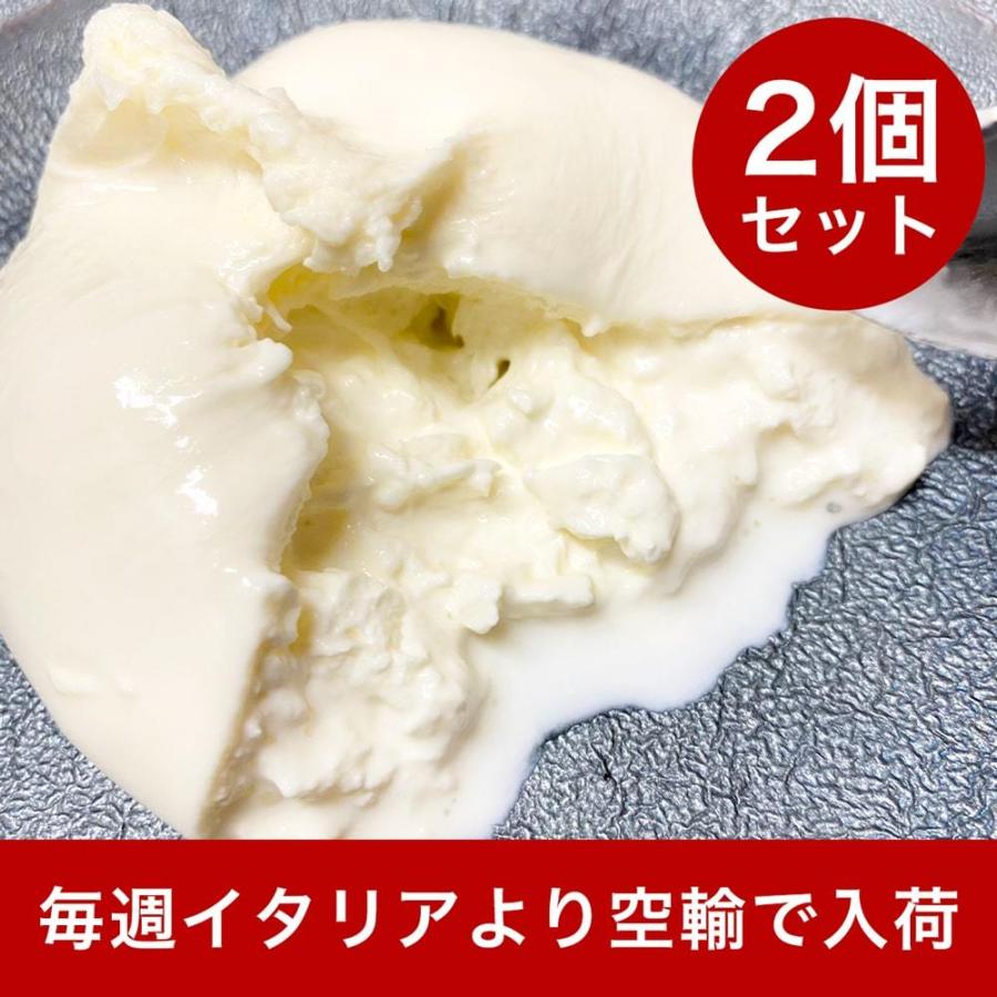 ブラッティーナ 120g×2 Murgella フレッシュチーズ イタリア産チーズ 2個セット