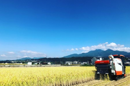 出生体重米 おいしい お米 コシヒカリ 精米 ギフト プレゼント 贈り物 お祝い   IMAFUKU RICE FARM   山梨県 韮崎市