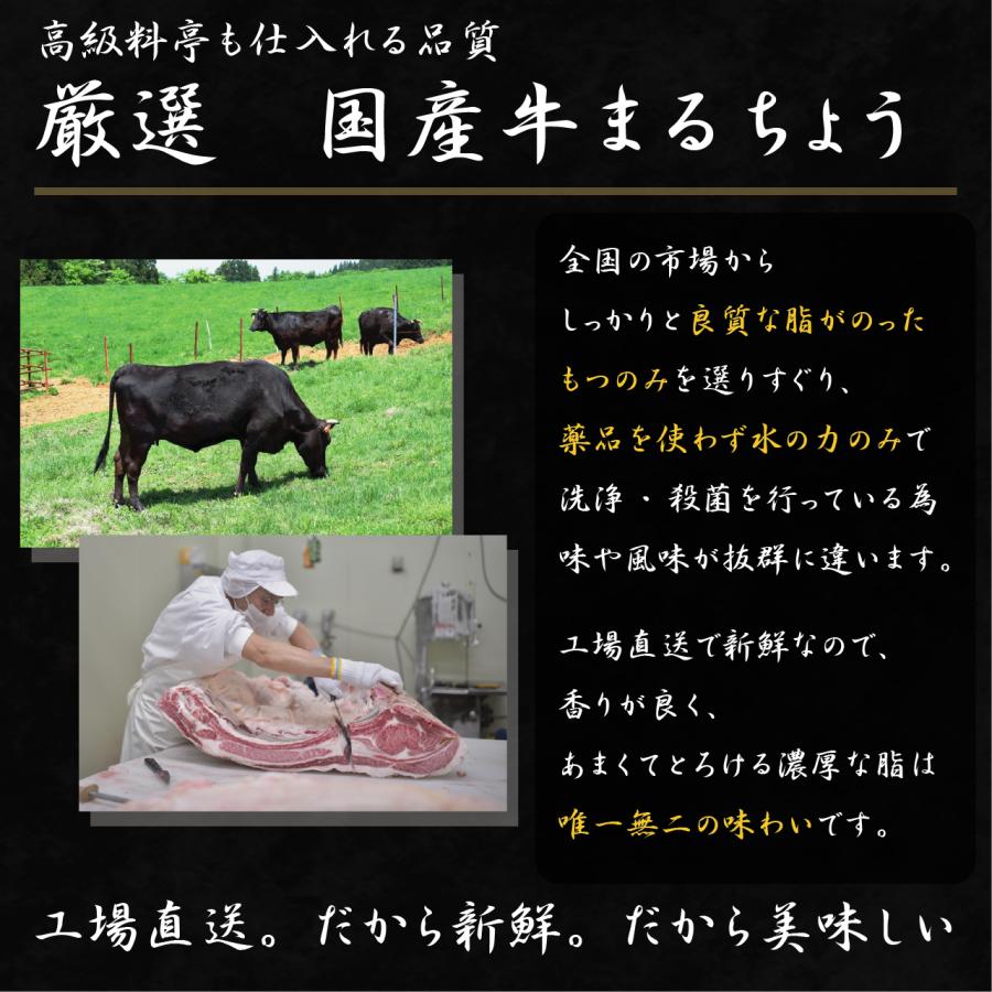 鍋 もつ鍋セット 2人前 3人前 4人前 国産牛もつ モツ鍋 まるちょう 肉 工場直送 お取り寄せ ちゃんぽん麺付き